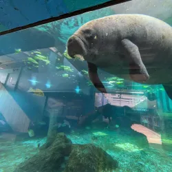 Mote Marine Laboratory & Aquarium - Sarasota