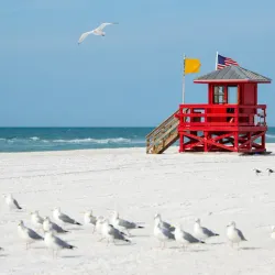 Siesta Key Beach - Sarasota