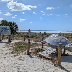 Siesta Key Beach - Sarasota