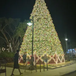 St. Armands Circle - Sarasota