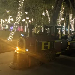 St. Armands Circle - Sarasota