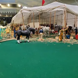 The John and Mable Ringling Museum of Art - Sarasota