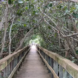 Barrier Island Sanctuary - Satellite Beach