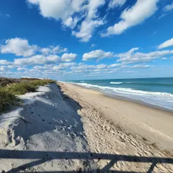 Barrier Island Sanctuary - Satellite Beach