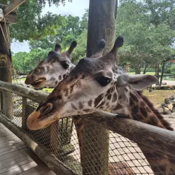 Brevard Zoo - Satellite Beach