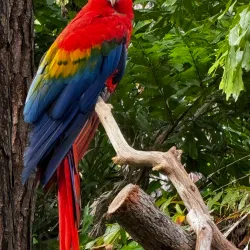 Brevard Zoo - Satellite Beach