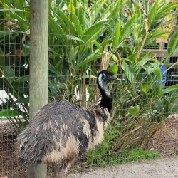 Brevard Zoo - Satellite Beach