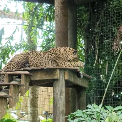 Brevard Zoo - Satellite Beach