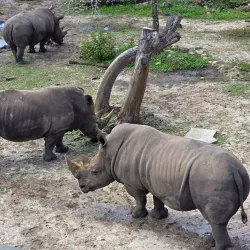 Brevard Zoo - Satellite Beach