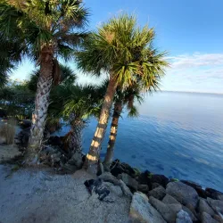 Manatee Sanctuary Park - Satellite Beach