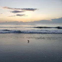 Pelican Beach Park - Satellite Beach