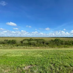 Ritch Grissom Memorial Wetlands at Viera - Satellite Beach