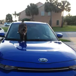 Satellite Beach Dog Park - Satellite Beach