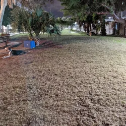 Satellite Beach - Satellite Beach