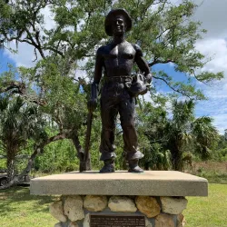 Highlands Hammock State Park - Sebring