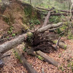 Lake Jackson Mounds Archaeological State Park - Sebring