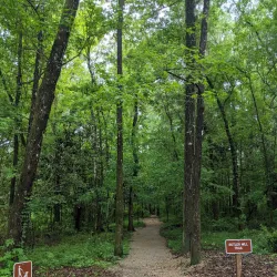 Lake Jackson Mounds Archaeological State Park - Sebring