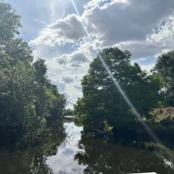 Sebring Airboat Tours - Sebring