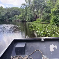 Sebring Airboat Tours - Sebring