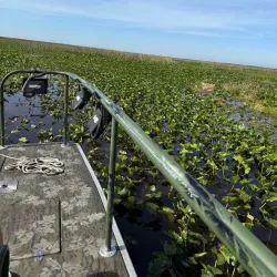 Sebring Airboat Tours - Sebring