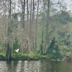 Sebring Airboat Tours - Sebring