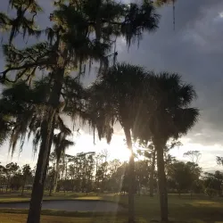 Sebring Golf Club - Sebring