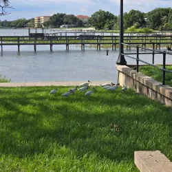 The Highlands Little Theatre - Sebring