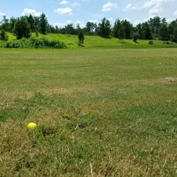 Hernando Oaks Golf and Country Club - Spring Hill