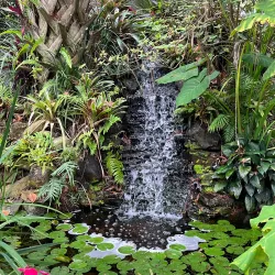 Nature Coast Botanical Gardens - Spring Hill