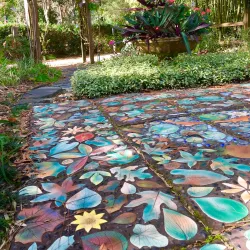 Nature Coast Botanical Gardens - Spring Hill