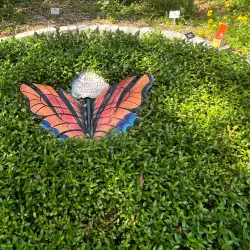 Nature Coast Botanical Gardens - Spring Hill