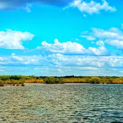 Pine Island Beach Park - Spring Hill