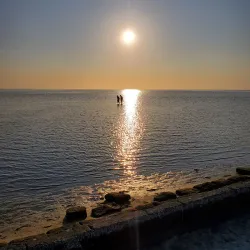 Pine Island Beach Park - Spring Hill