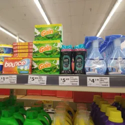 Spring Hill Shopping Center - Spring Hill