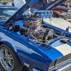 Spring Hill Shopping Center - Spring Hill