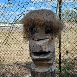 Suncoast Trail - Spring Hill