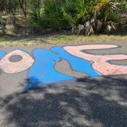 Suncoast Trail - Spring Hill