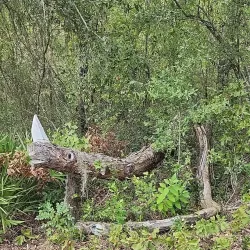 Suncoast Trail - Spring Hill