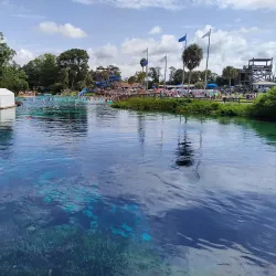 Weeki Wachee Springs State Park - Spring Hill