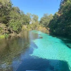 Weeki Wachee Springs State Park - Spring Hill