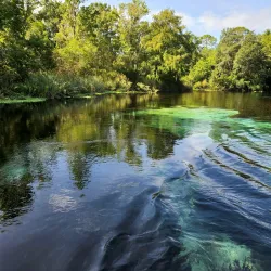 Weeki Wachee Springs State Park - Spring Hill