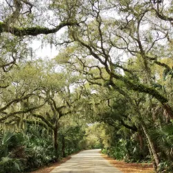 Anastasia State Park - St. Augustine