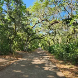Anastasia State Park - St. Augustine