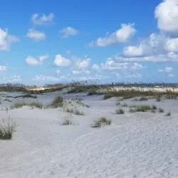 Anastasia State Park - St. Augustine