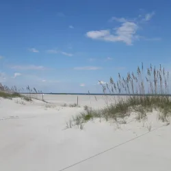 Anastasia State Park - St. Augustine