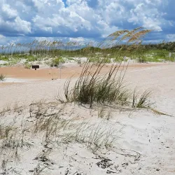 Anastasia State Park - St. Augustine