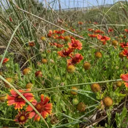 Anastasia State Park - St. Augustine