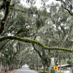 Fountain of Youth Archaeological Park - St. Augustine