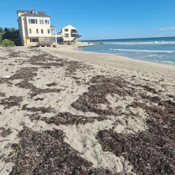 Bathtub Reef Beach - Stuart