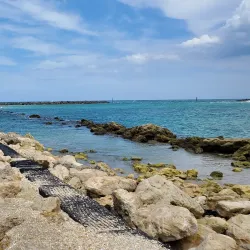 Bathtub Reef Beach - Stuart